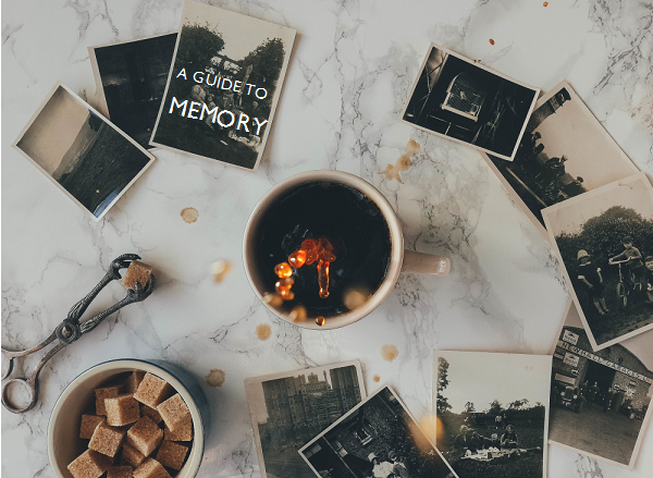 Guide To Memory