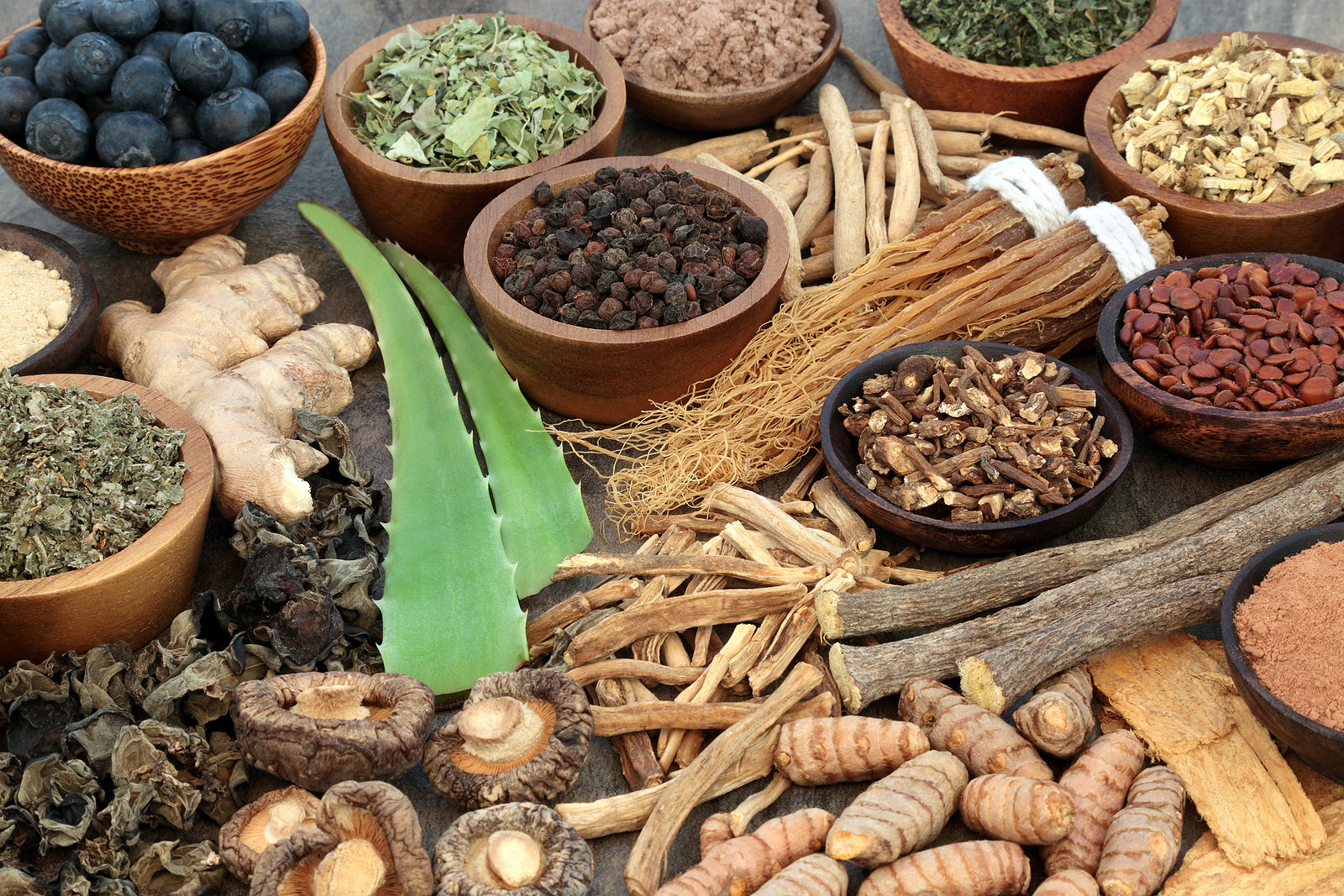 Everything You Need To Know About Adaptogens