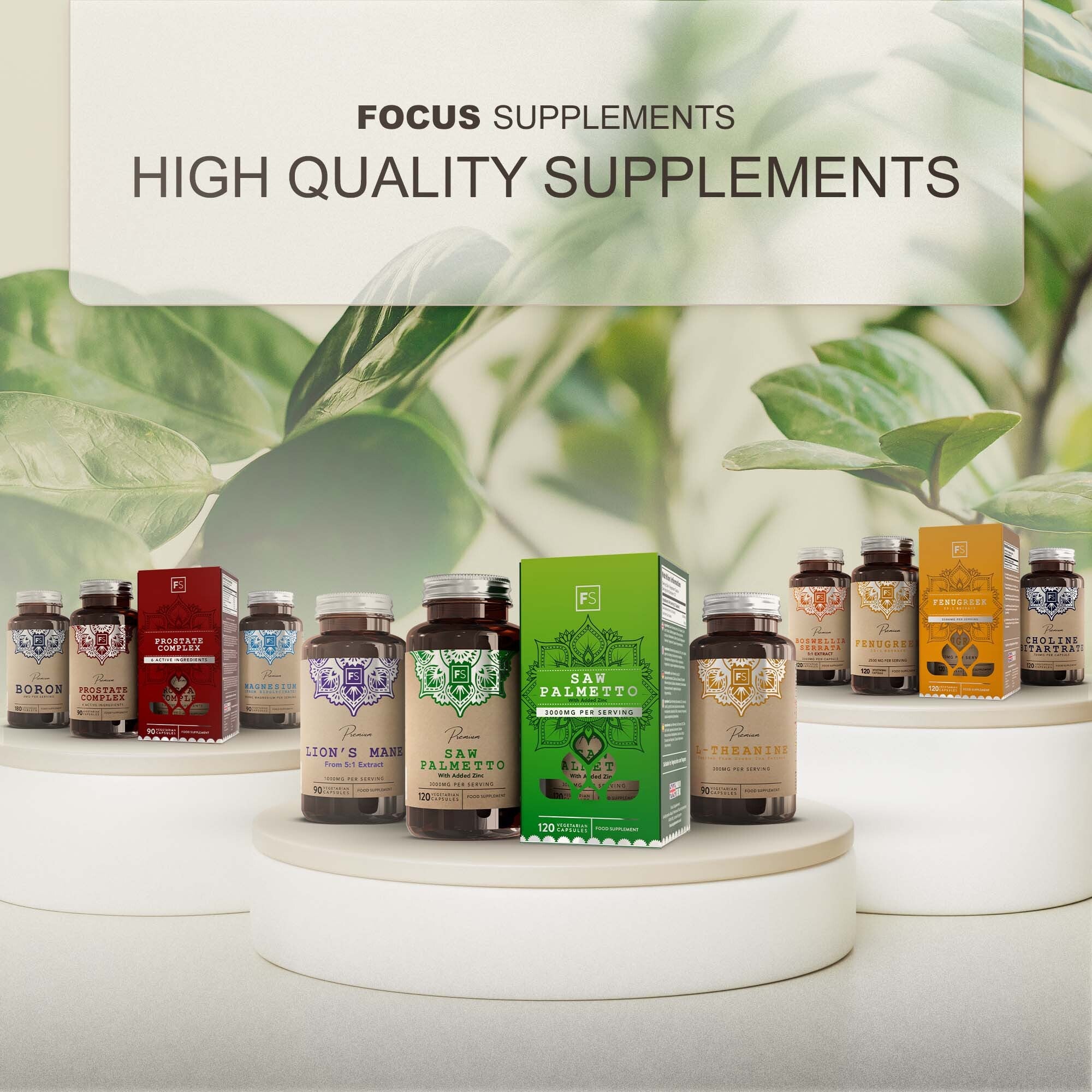 Lion’s Mane 5:1 Extract 1000mg