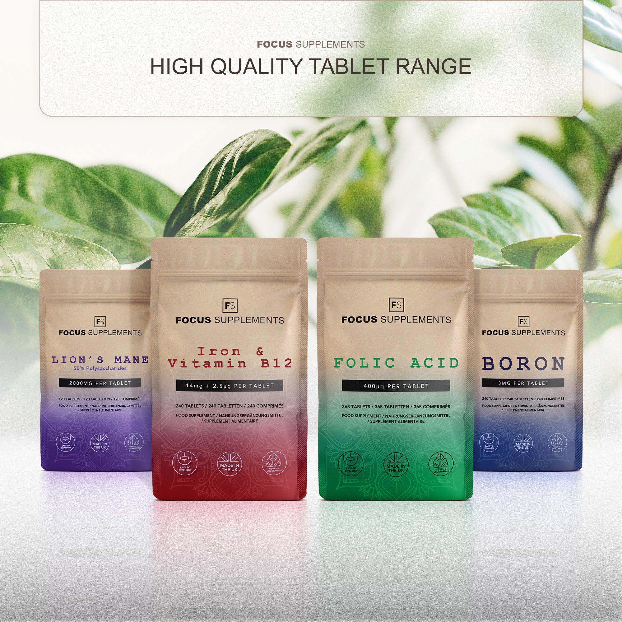 Lion’s Mane 50:1 Extract 2000mg