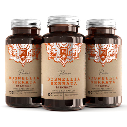 Boswellia Serrata 5:1 Extract